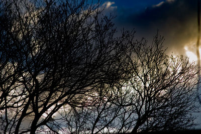 Low angle view of silhouette bare tree against sky