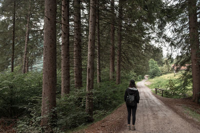 Rear view of man walking on road in forest