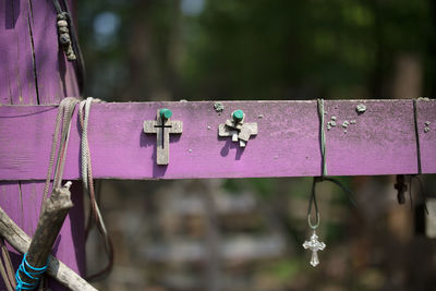 Close-up of pink wooden cross at cemetery