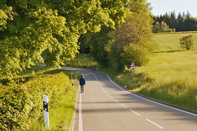 Rear view of people walking on road by trees