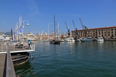 Sailboats moored in harbor