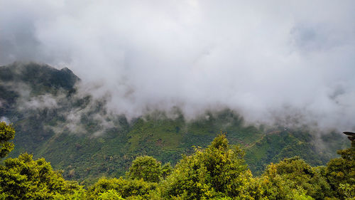 nature