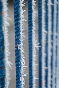 Full frame shot of blinds