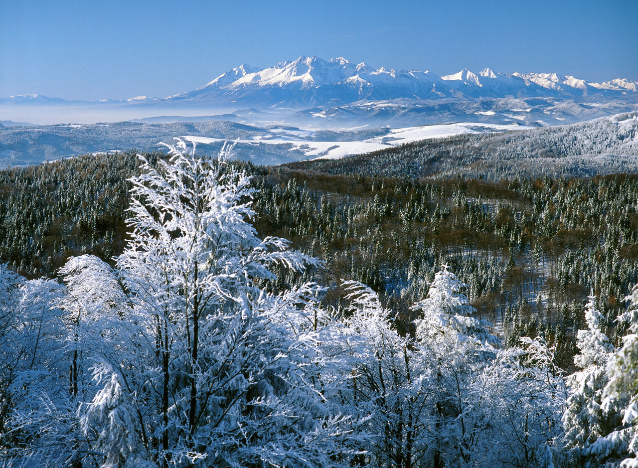 AERIAL VIEW OF SNOWCAPPED MOUNTAINS