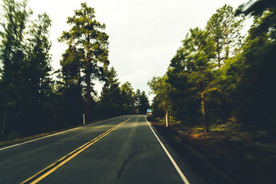 Road amidst trees against sky