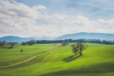 Scenic view of landscape against cloudy sky