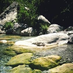 River flowing through rocks