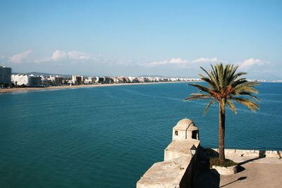 Scenic view of sea by palm trees and buildings against sky