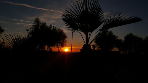 Silhouette trees against sky during sunset