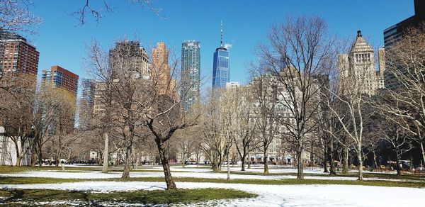 Bare trees in park against sky in city