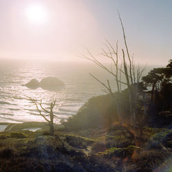 Dusk over a cliff overlooking the pacific ocean in northern california 