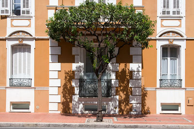 architecture