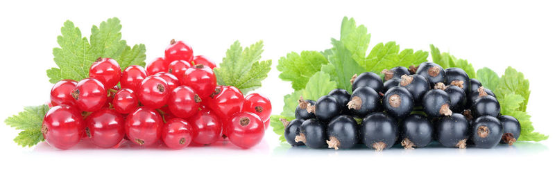 Close-up of fruits against white background