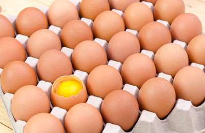 High angle view of eggs in row