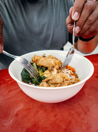 Mie ayam, a noodles with chicken, meatballs, dumplings, vegetables is a popular food in indonesia.