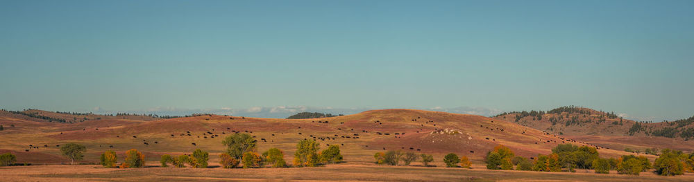 Scenic view of landscape against clear sky