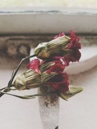 Close-up of wilted rose