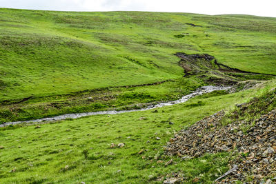 Scenic view of green landscape