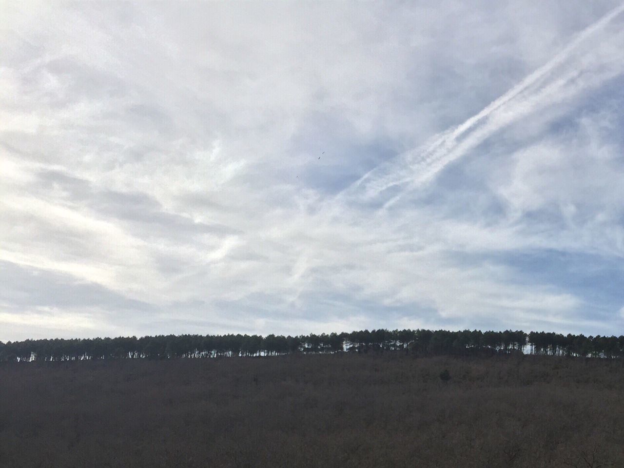 sky, landscape, cloud - sky, tranquil scene, tranquility, scenics, field, cloudy, beauty in nature, nature, tree, cloud, weather, rural scene, non-urban scene, horizon over land, overcast, idyllic, outdoors, no people