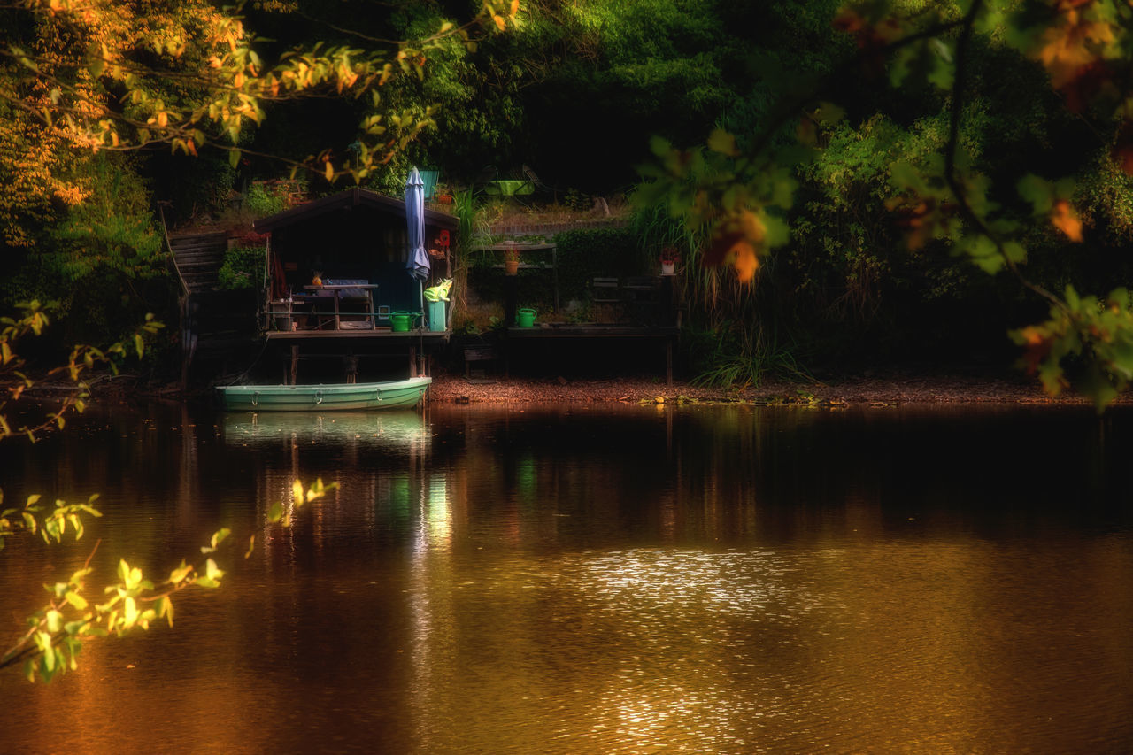 ILLUMINATED TREES BY LAKE AT NIGHT