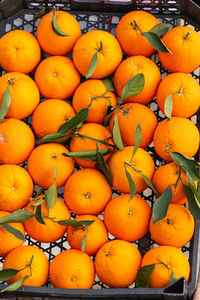 Full frame shot of oranges