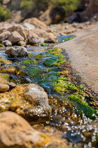 Close-up of rocks