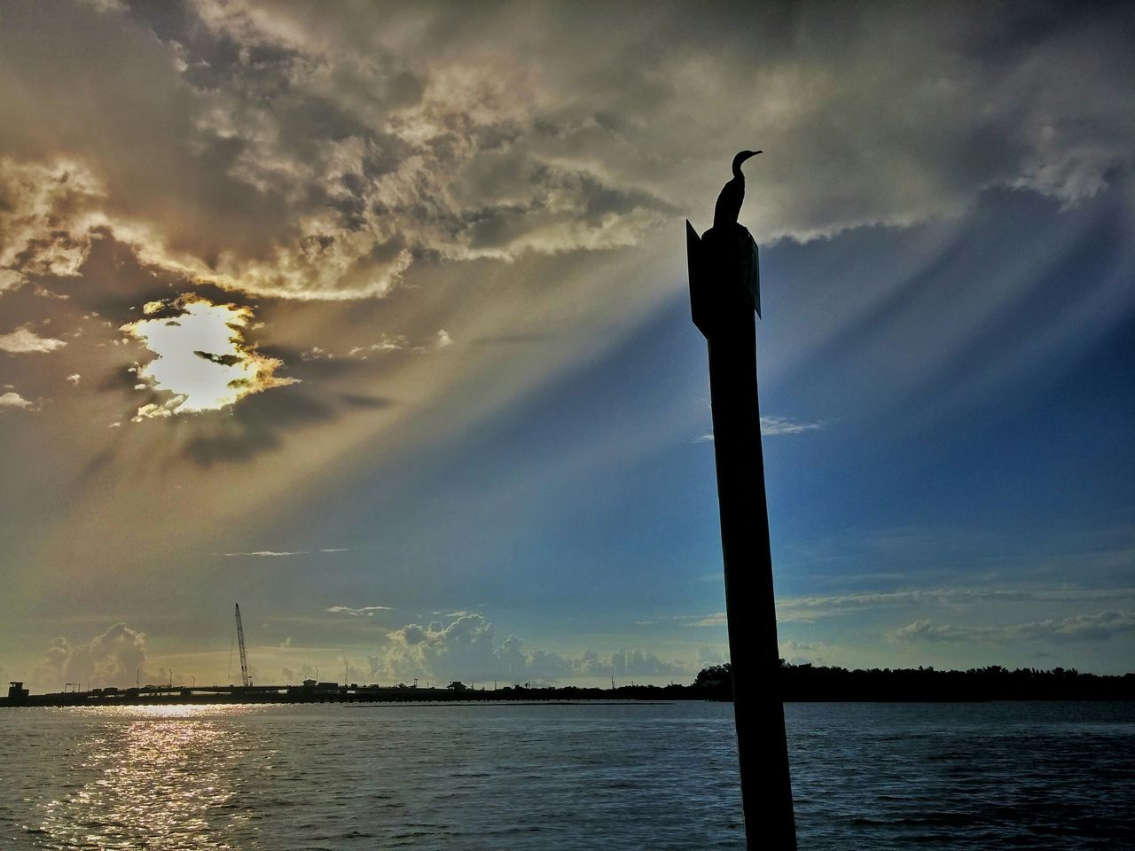 bird, water, sky, silhouette, animal themes, animals in the wild, waterfront, wildlife, tranquility, sea, nature, cloud - sky, low angle view, one animal, beauty in nature, tranquil scene, scenics, perching, sunset, pole