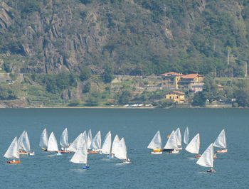 Sailboats on lake como in pianello del lario, como, lombardy, italy.