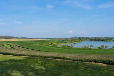 Scenic view of agricultural field against sky