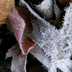 Close up of snow