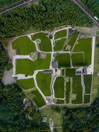 High angle view of trees