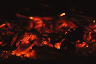 Close-up of bonfire