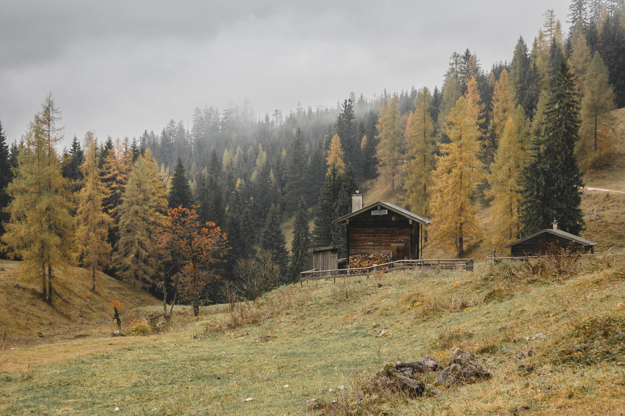 tree, built structure, tranquility, no people, nature, architecture, scenics, landscape, beauty in nature, tranquil scene, day, grass, outdoors, mountain, sky, building exterior