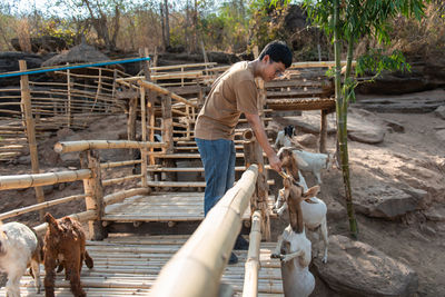 Side view of man working