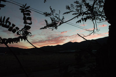Silhouette tree on landscape against sky at sunset
