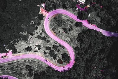 High angle view of pink petals on rock