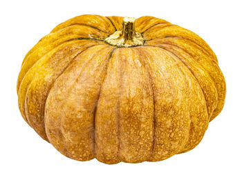 Close-up of pumpkin against orange background