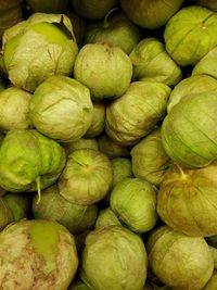 Full frame shot of green brussel sprouts for sale in market