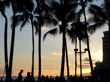 Silhouette palm trees against sky during sunset