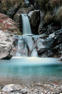 Scenic view of waterfall in forest