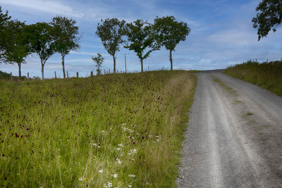 Dirt road amidst field against sky