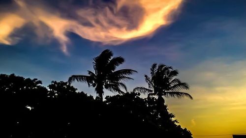 Silhouette of palm trees against cloudy sky