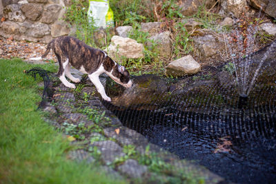 View of a drinking water from a wall