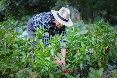 Rear view of woman standing amidst plants