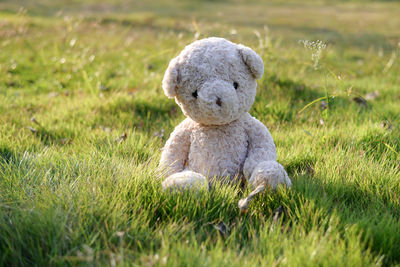 Close-up of teddy bear on grassy field