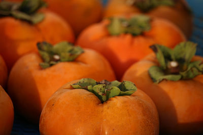 Close-up of pumpkins for sale in market