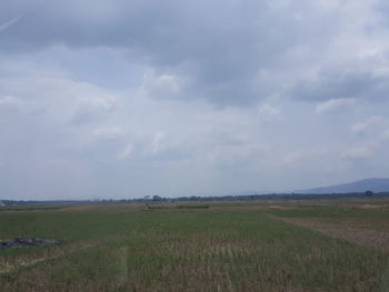 Scenic view of field against sky