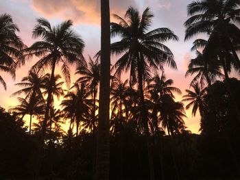 Low angle view of silhouette palm trees against sunset sky