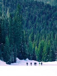 Distant view of friends walking on snow covered field against trees