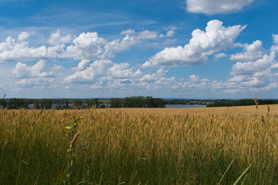 Scenic view of field against cloudy sky